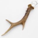 Décapsuleur Décapsuleur Bois de cerf Corne Corne de ramure Longueur 28 cm 27.1.424