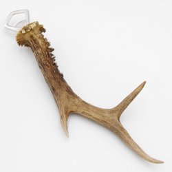 Décapsuleur Décapsuleur Bois de cerf Corne Corne de ramure Longueur 28 cm 27.1.424