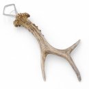 Abrebotellas Abridor Cuernos de ciervo Barra de cuerno Barra desprendible Longitud 27 cm 27.1.429