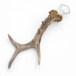 Abrebotellas Abridor Cuernos de ciervo Barra de cuerno Barra desprendible Longitud 27 cm 27.1.429