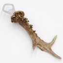 Abrebotellas Abridor Cuernos de ciervo Barra de cuerno Barra desprendible Longitud 23 cm 27.1.443