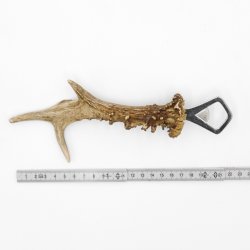 Abrebotellas Abridor Cuernos de ciervo Barra de cuerno Barra desprendible Longitud 23 cm 27.1.443
