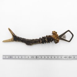 Flaschenöffner Öffner Reh Geweih Stange Horn Abwurfstange Länge 22 cm 27.1.449