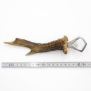 Flaschenöffner Öffner Reh Geweih Stange Horn Abwurfstange Länge 21 cm 27.1.455