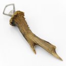 Flaschenöffner Öffner Reh Geweih Stange Horn Abwurfstange Länge 21 cm 27.1.455