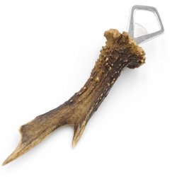 Flaschenöffner Öffner Reh Geweih Stange Horn Abwurfstange Länge 21 cm 27.1.455