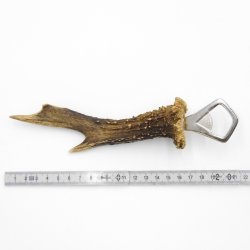 Flaschenöffner Öffner Reh Geweih Stange Horn Abwurfstange Länge 21 cm 27.1.455