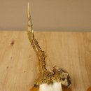 3 Stück Rehgeweihe abnorm auf Trophäenschildern Rehbock Reh Bock Geweihe 22.1106