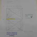 Kardinalvogel Rotkardinal roter Kardinal Vogel Tierpräparat mit Herkunftsnachweis