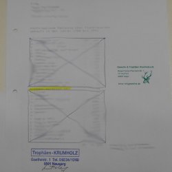 Kardinalvogel Rotkardinal roter Kardinal Vogel Tierpräparat mit Herkunftsnachweis