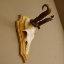 abnormes Rehgeweih Widder Korkenzieher Rehbock Reh Geweih Bock Gehörn 607.131