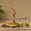 Salz + Pfeffer Streuer Menagen Set mit farbigen Jagdmotiv auf Akazienschild mit Rehbock Stange als Griff 27.40.1.8