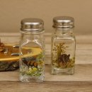 Salz + Pfeffer Streuer Menagen Set mit farbigen Jagdmotiv auf Akazienschild mit Rehbock Stange als Griff 27.40.1.8