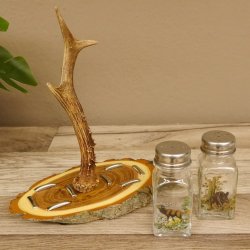 Salz + Pfeffer Streuer Menagen Set mit farbigen Jagdmotiv auf Akazienschild mit Rehbock Stange als Griff 27.40.1.8