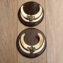 Warzenschwein Waffen 2er Set Hauer max. 12-17 cm Keiler Gewaff Afrika Trophäen Schilder