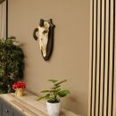 Oryx (Oryx gazella) Antilope extrem abnorm Hornlänge 19+19 cm Spießbock Afrika Schädeltrophäe Trophäenschild