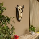 Oryx (Oryx gazella) Antilope extrem abnorm Hornlänge 19+19 cm Spießbock Afrika Schädeltrophäe Trophäenschild