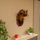 Mufflon (Ovis orientalis musimon) Präparat HL 45,5 cm Kopf Schulter Haupt GTK85.12.61 Dekoration