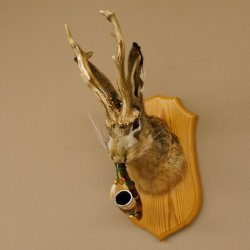 Wolpertinger Wolpi Hasenwolpi mit Porzellanpfeife Pfeife Hasenbock Präparat Höhe 40 cm auf Trophäenschild