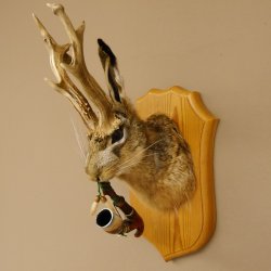 Wolpertinger Wolpi Hasenwolpi mit Porzellanpfeife Pfeife Hasenbock Präparat Höhe 40 cm auf Trophäenschild