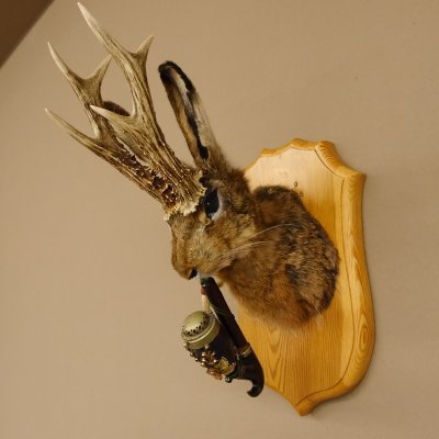Wolpertinger Wolpi Hasenwolpi mit dunkler Pfeife Hasenbock Präparat Höhe 38 cm auf Trophäenschild