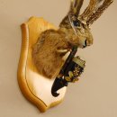 Wolpertinger Wolpi Hasenwolpi mit dunkler Pfeife Hasenbock Präparat Höhe 38 cm auf Trophäenschild
