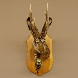 Wolpertinger Wolpi Hasenwolpi mit dunkler Pfeife Hasenbock Präparat Höhe 38 cm auf Trophäenschild