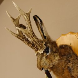 Wolpertinger Wolpi Hasenwolpi mit dunkler Pfeife Hasenbock Präparat Höhe 38 cm auf Trophäenschild