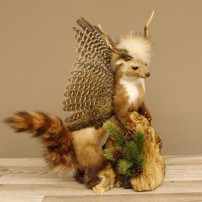 Marder Wolpertinger Wolpi Präparat Rehgeweih große Flügel Höhe 51 cm 86.10.12