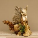 Marder Wolpertinger Wolpi Präparat Rehgeweih große Flügel Höhe 51 cm 86.10.12