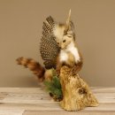 Marder Wolpertinger Wolpi Präparat Rehgeweih große Flügel Höhe 51 cm 86.10.12