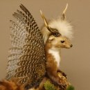 Marder Wolpertinger Wolpi Präparat Rehgeweih große Flügel Höhe 51 cm 86.10.12