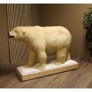 Eisbär Ganzpräparat Polarbär Bär...