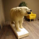 Eisb&auml;r Ganzpr&auml;parat Polarb&auml;r B&auml;r Pr&auml;parat mit Genehmigung zum Verkauf