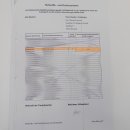 Gebirgsstelze Vogel Präparat Tierpräparat Singvogel mit Genehmigung zur Vermarktung