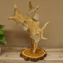 Schnaps Anbieter Akazieschild Schnapsbrett Damhirsch 6 Stück Gläser Krügel 27.7.6.13