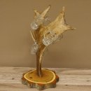 Schnaps Anbieter Akazieschild Schnapsbrett Damhirsch 6 Stück Gläser Krügel 27.7.6.13