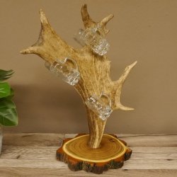 Schnaps Anbieter Akazieschild Schnapsbrett Damhirsch 6 Stück Gläser Krügel 27.7.6.13