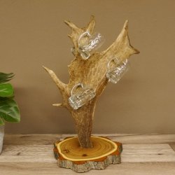 Schnaps Anbieter Akazieschild Schnapsbrett Damhirsch 6 Stück Gläser Krügel 27.7.6.13