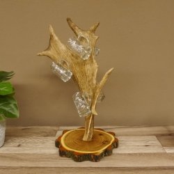 Schnaps Anbieter Akazieschild Schnapsbrett Damhirsch 6 Stück Gläser Krügel 27.7.6.13