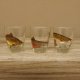7-teiliges Schnaps Gläser Set mit Fisch Motive + Karaffe mit HECHT