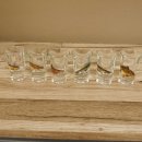 6-teiliges Schnaps Gläser Set "hohe" Gläser mit Fisch Motive
