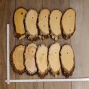 10 piezas de placas de abedul KF usadas AF 17-18 cm Juego de 10 placas para trofeos 51.10.14