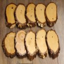 10 piezas de placas de abedul KF usadas AF 17-18 cm Juego de 10 placas para trofeos 51.10.14