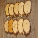 10 piezas de placas de abedul KF usadas AF 17-18 cm Juego de 10 placas para trofeos 51.10.14