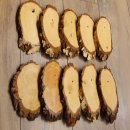 10 piezas de placas de abedul KF usadas AF 17-18 cm Juego de 10 placas para trofeos 51.10.14