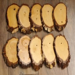 10 piezas de placas de abedul KF usadas AF 17-18 cm Juego de 10 placas para trofeos 51.10.14