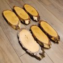 6 grandes plaques en bouleau doccasion AF 21 cm Set...