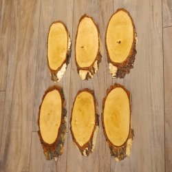 6 large birch shields, used, AF 21 cm, trophy shield set 51.10.15