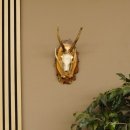 Rehgeweih original Abwurfstange Reh Geweih Gehörn Rehbock Trophäe auf Birkeschild 606.123